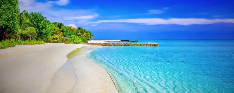 Exotic Beach